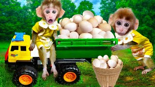 Baby Monkey Bon Bon collects eggs at the farm [upl. by Aracaj775]