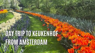 A Day Trip to Keukenhof from Amsterdam  Travel Guide 4K [upl. by Yttocs]