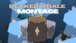 Jinty montage with blur motion [upl. by Ellynn]