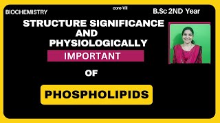 Structure And Physiologically Important of Phospholipids BSc 2nd Yearlipids phospholipids [upl. by Frangos62]