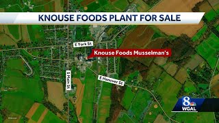 Musselmans food plant up for sale [upl. by Renaud]