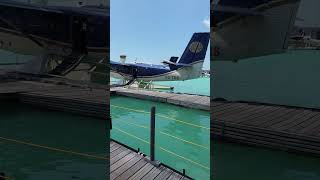 seaplanes maldives holiday [upl. by Airelav]