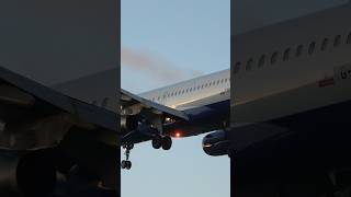 🇬🇧 British Airways Airbus A319100 Landing  London Heathrow Airport shorts [upl. by Aseeram]