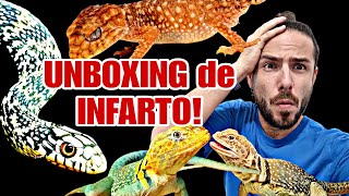 UNBOXING de ESPECIES ALTAMENTE BRUTALES REPTILES HIGH LEVEL Con cual os quedais 🐍🦖🐸🐉 [upl. by Shela]