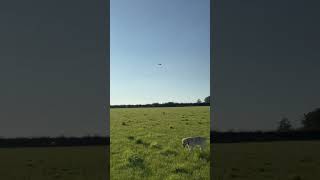 First Time Flying an RC Plane  Hawk’s Work BF109 [upl. by Agnese]