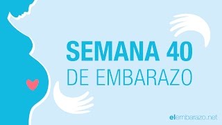 Semana 40 de embarazo  40 semanas de embarazo  El embarazo semana a semana [upl. by Stockton]