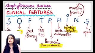 MICROBIOLOGY crash course PART4 [upl. by Nitsuj]