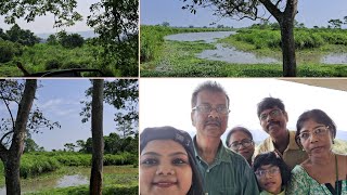 Kajiranga Forest Safari Vlog  Reached to Shilong  riyabose92 [upl. by Hathaway]