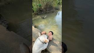 The Dog Saves Its Owner from Being Swept Away by the FloodPet doglover dog [upl. by Imiaj980]