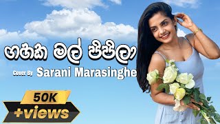 Gahaka Mal Pipila  ගහක මල් පිපිලා  Cover by Sarani Marasinghe [upl. by Inoj875]