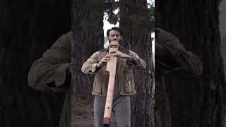 Listen to 432Hz Bass D drone Native American style flute📹 Christian Dimarco Music repost [upl. by Akimat]