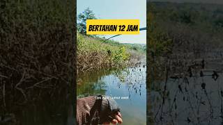 Tips Agar Lumut Awet saat di spot mancing [upl. by Tilla]