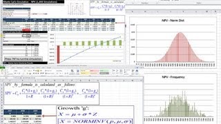 Monte Carlo Simulation  NPV example [upl. by Anora]