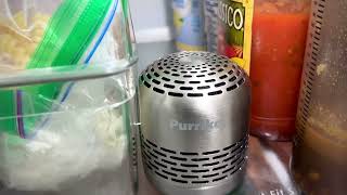 Review of Purriko Refrigerator Deodorizer  10 year air purifier [upl. by Paviour]