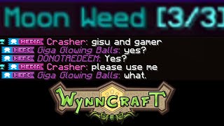 The Wynncraft Community Experience [upl. by Nevanod233]