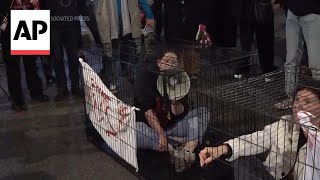 Protesters lock themselves in cages in Tel Aviv demand release of hostages [upl. by Ammon]