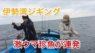 ジギングでマハタ、クエ激ウマ珍魚が釣れた！！伊勢湾 [upl. by Comyns]