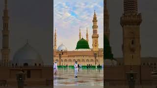 naatsharif beautiful viral trending support islam subscribe youtubeshorts janusheikh7731 [upl. by Ellehcen]