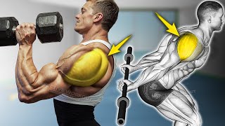 6 Best Rear Delt Exercises at Gym [upl. by Nathalie]