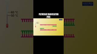 PolymerasechainreactionPCR [upl. by Nayab]