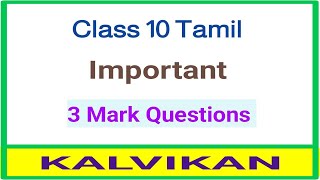 Class 10 Tamil Important 3 Mark Questions  Kalvikan [upl. by Cato]