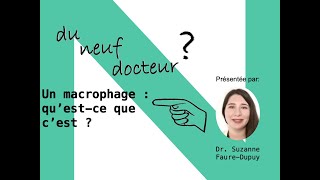 Docteur Suzanne FaureDupuy  Un macrophage  questce que cest [upl. by Ros]