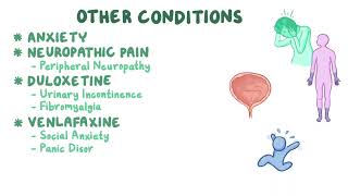 Serotonin Norepinephrine reuptake inhibitors SNRIs serotonin syndrome pharmacology OSMOSIS 🔥 [upl. by Lyns341]