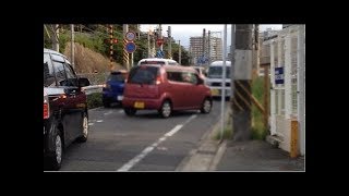 巷であったシュールな迷惑駐車制裁の仕方3選 [upl. by Eetak]