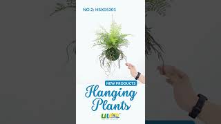 NEW decorativeplants Hanging Fern Plants [upl. by Gnous]