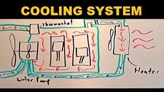 Radiators  Explained [upl. by Awram]