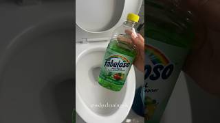 sudsy toilet clean 🍎🍏💚🫧🚽 cleaningvideo sudsycleaning bathroomcleaning sudsy fabuloso [upl. by Eidaj]