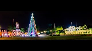 National Christmas Tree in Suriname [upl. by Ellwood801]