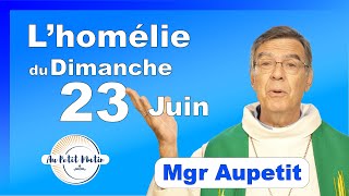 Évangile et homélie du Dimanche 23 Juin  Avec Mgr Aupetit [upl. by Suirtemid]