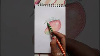 Now can draw 🥭 art ytshorts colors easy arushi pencil sketchviral [upl. by Hardigg271]