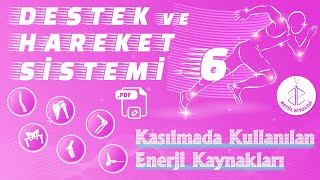 Destek ve Hareket Sistemi 6  Kasılmada Kullanılan Enerji Kaynakları  AYT Biyoloji [upl. by Sharity621]