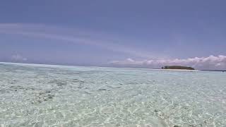 Isla Mnemba  Paraiso en Zanzibar caminata [upl. by Taka]