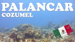 Diving the famous Palancar Reef in Cozumel Mexico [upl. by Jem733]