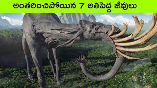 Top 7 biggest Extinct animals  creatures before dinosaurs  interesting facts in Telugu  bmc facts [upl. by Hurty803]