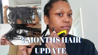 FINALLY GIVING A UPDATE ON THE PROGRESS OF MY HAIR AFTER MIELLE ORGANIC DAMAGED MY HAIR [upl. by Babby]