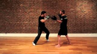 Sifu Dan Anderson  Bruce Lees Jeet Kune Do  Basic Boxing Drill [upl. by Aramahs]