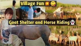 Horse Riding Adventure amp Goat Shelter Visit in Our Village  Village vlog [upl. by Alathia583]