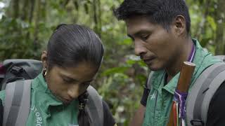 2024 CLP Future Conservationist Award Lowland tapirs in Colombia [upl. by Rastus]