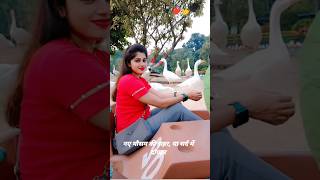 eco park boating 🥰boating enjoy masti video you tube video shortsvideo [upl. by Janyte]