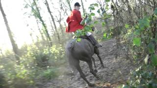 Crawley and Horsham hunt Boxing Day 2013avi [upl. by Adekam]