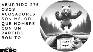 OSOS 🐼 SON MEJOR QUE UN HOMBRE CON UN PARTIDO BONITO 🥰 público ABURRIDO 2️⃣7️⃣5️⃣ [upl. by Auhsej]