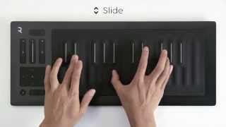 5D Touch on the Seaboard RISE [upl. by Atnomed]