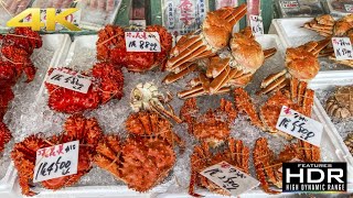 🦀 Lets Visit Nijo Market 二条市場 In Sapporo Hokkaido  HUGE Crabs amp Seafood Paradise [upl. by Vlada765]