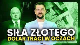 Dolar traci w oczach Siła złotego słabość euro Nadchodzą cięcia stóp procentowych [upl. by Ahtebbat]