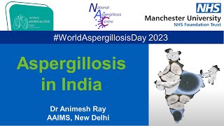 World Aspergillosis Day 2023  Aspergillosis in India  Dr Animesh Ray [upl. by Aisereht]