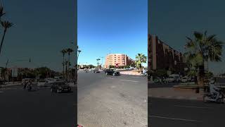 jardin majorelle avenue marrakesh morocco shorts short africa travel desert [upl. by Mou229]